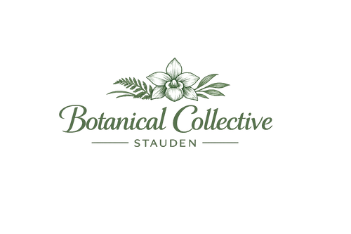 Botanical Collective Stauden